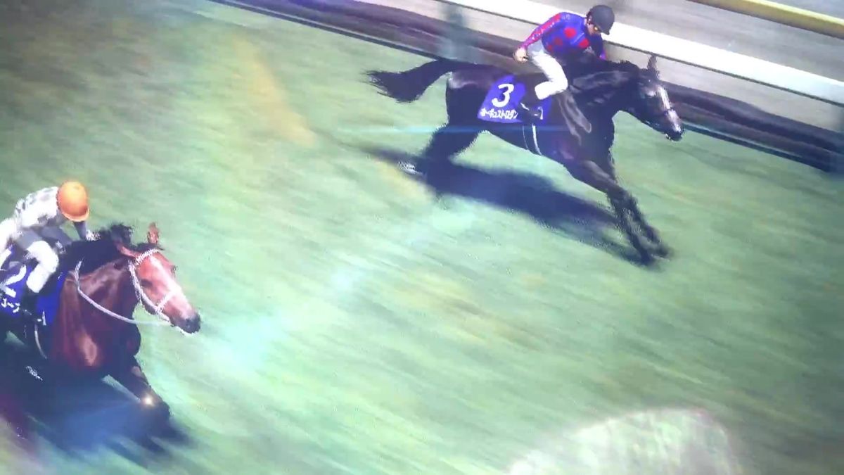 游戏内训练界面截图，显示马匹体能数据与训练计划安排