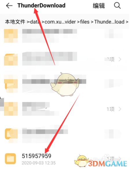 ThunderDownload目录下包含一个由数字命名的子文件夹，用于隔离不同下载任务