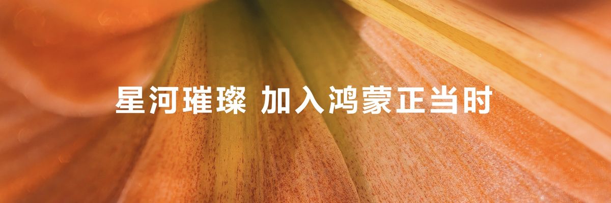 宣传海报写着‘加入鸿蒙正当时’，背景为星空与设备互联的视觉效果