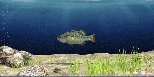 游戏钓鱼动作GIF动图，展示甩竿、中鱼、收线全过程，水流与光影效果逼真