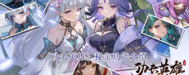 《功夫英雄》秘宝系统界面展示，多个秘宝图标环绕角色，界面华丽特效闪烁