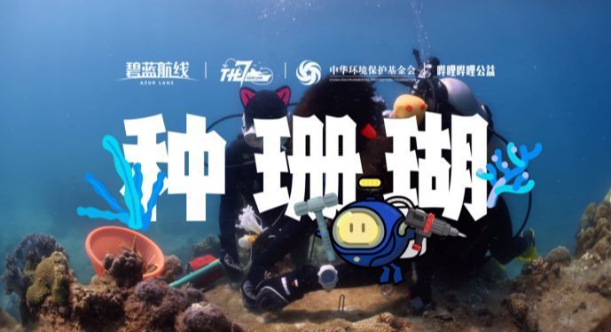 UP主在南海珊瑚保护区实地拍摄，科研人员正在进行珊瑚移植作业