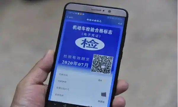 网办进度查询界面，显示‘审核通过’状态及办理完成时间