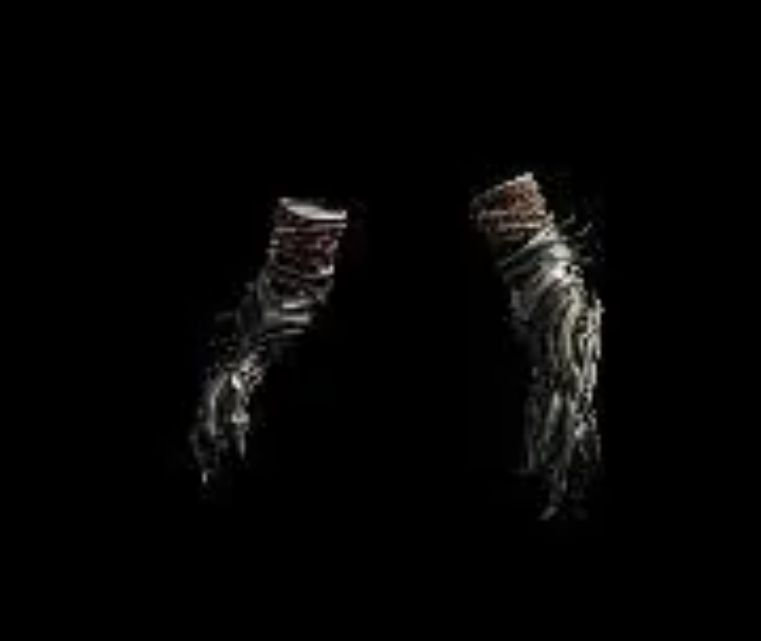 艾露猫‘熊猫装’，黑白毛绒外观，憨态可掬