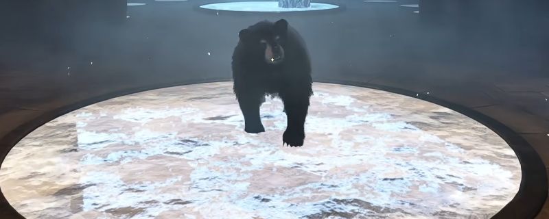 《上古卷轴4：湮灭重制版》游戏中黑熊被成功召唤的场景，一只巨大的黑熊站在废墟前，周围泛着魔法蓝光，施法者正站在后方准备施法