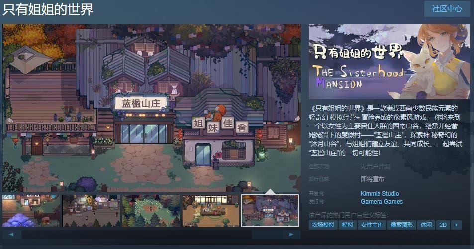 《只有姐姐的世界》Steam商店页面截图，展示游戏主视觉图，画面中呈现西南风格建筑与女性角色群像，整体风格温暖治愈