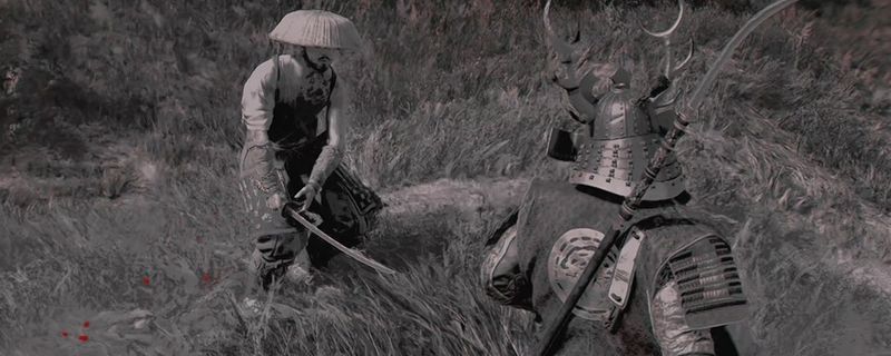 《刺客信条：影》游戏画面展示主角在日式庭院中潜行，背景为樱花与木质建筑