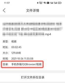 文件详情中明确标注视频存储目录的路径信息