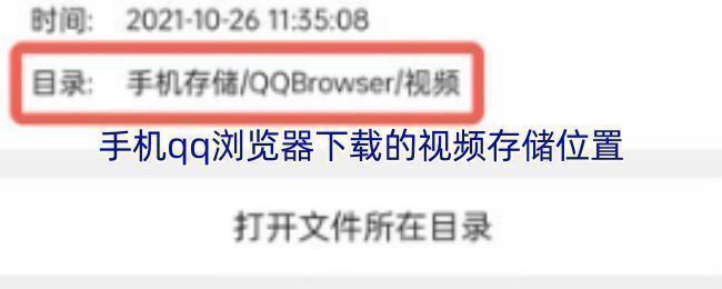 手机QQ浏览器整体下载文件管理界面概览