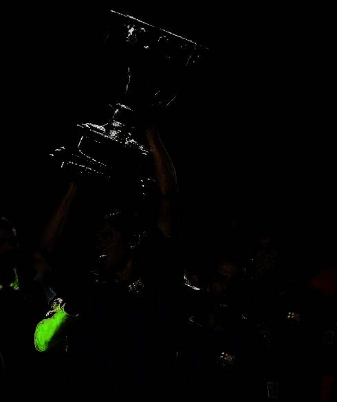 埃德米尔森举起奖杯的经典瞬间，身披巴西国家队战袍，笑容灿烂