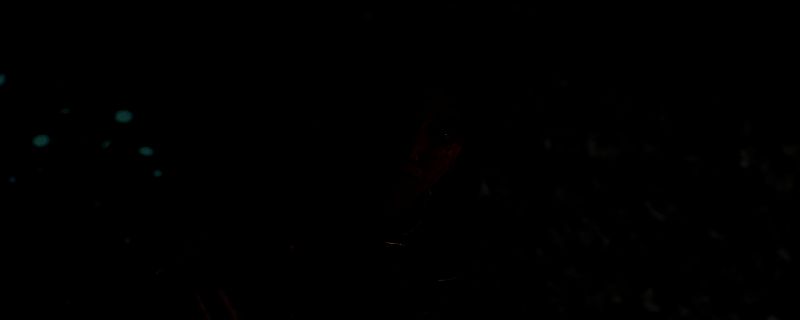 玛埃尔手持利特剑战斗场景，光影特效环绕，展现出高爆发输出的职业特性