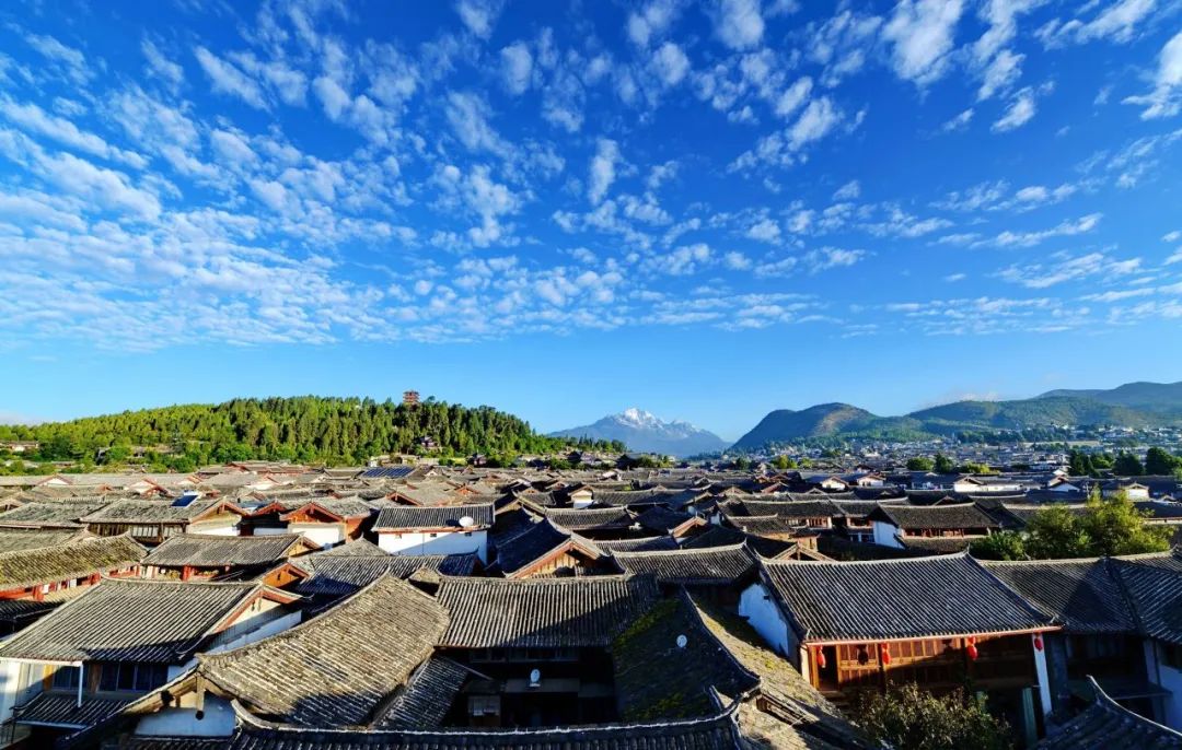 丽江古城全景航拍图，青瓦屋檐错落有致，玉河水穿街而过，绿柳成荫，展现古城宁静悠远的风貌