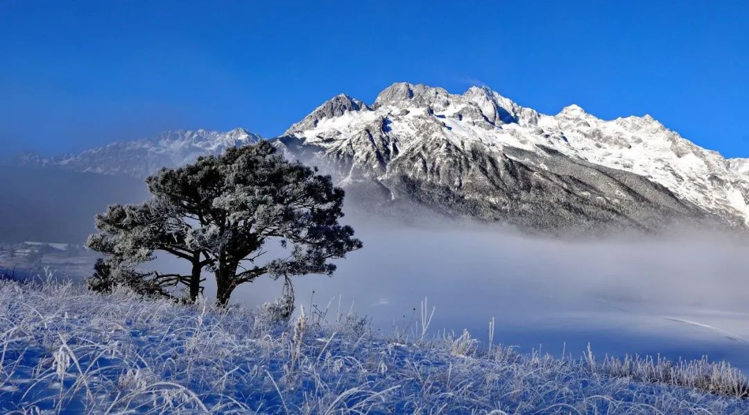 玉龙雪山巍然耸立，山顶白雪皑皑，山腰云雾缭绕，山脚绿意盎然，展现其雄伟壮丽的自然景观