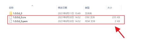 文件夹中显示新生成的 .crx 和 .pem 备份文件，文件名清晰可见，证明打包成功