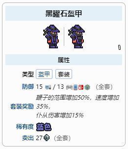 泰拉瑞亚黑曜石套装展示图，角色身穿黑色带火焰特效的盔甲，整体造型霸气十足