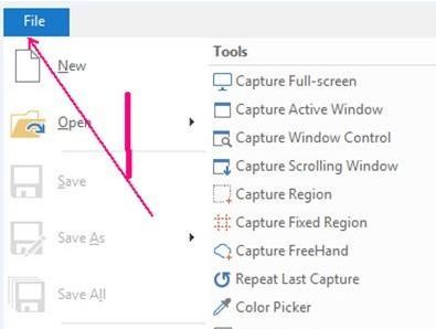 PicPick软件界面左上角的File文件菜单位置特写