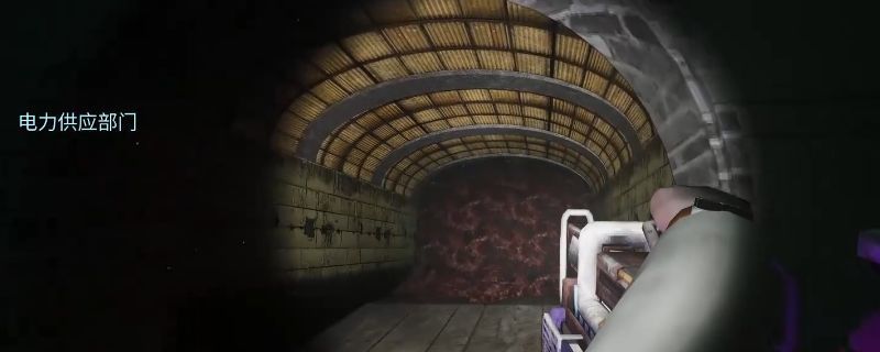 《非生物因素》游戏中电力供应部门的水下入口场景，角色刚从水中浮起，背景为昏暗岩洞与隐约可见的洞口