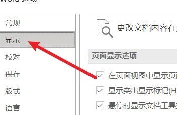 Word显示设置页面，左侧选中‘显示’选项，右侧列出各类格式标记开关