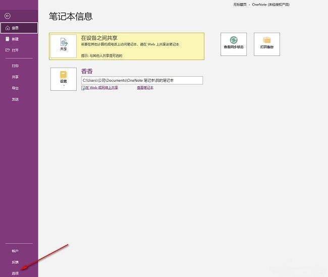 OneNote选项菜单页面，左侧列表中‘选项’被选中，右侧显示相关设置内容