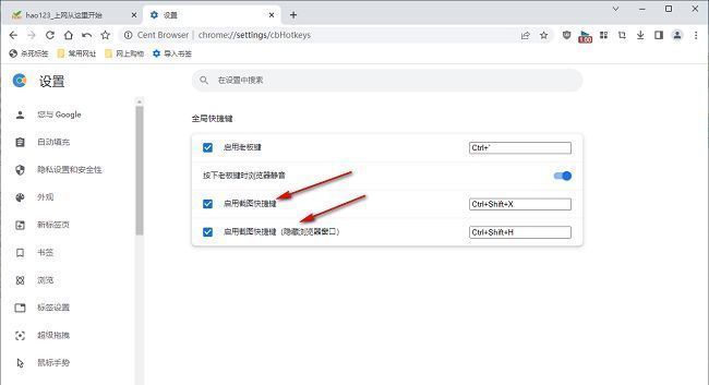 截图快捷键启用选项被选中，方框内打钩显示已激活