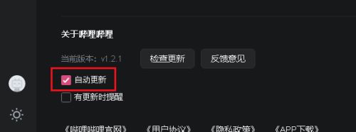 自动更新选项设置界面，右侧已勾选‘自动更新’复选框