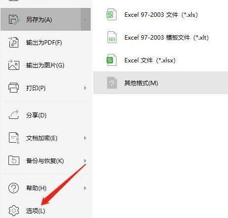 WPS选项入口位置，左下角红色圈出‘选项’按钮