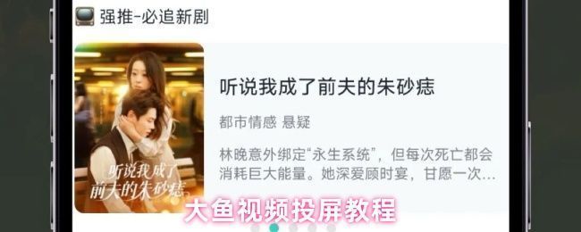 大鱼视频主界面展示，顶部设有搜索框，界面布局清晰，推荐内容分类明确