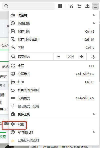 设置页面截图，左侧高亮显示‘高级设置’选项，右侧为空白区域