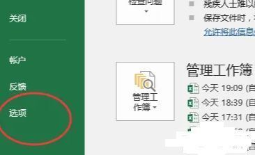 Excel选项页面，左侧列出各类设置模块，包括选项、保存、加载项等