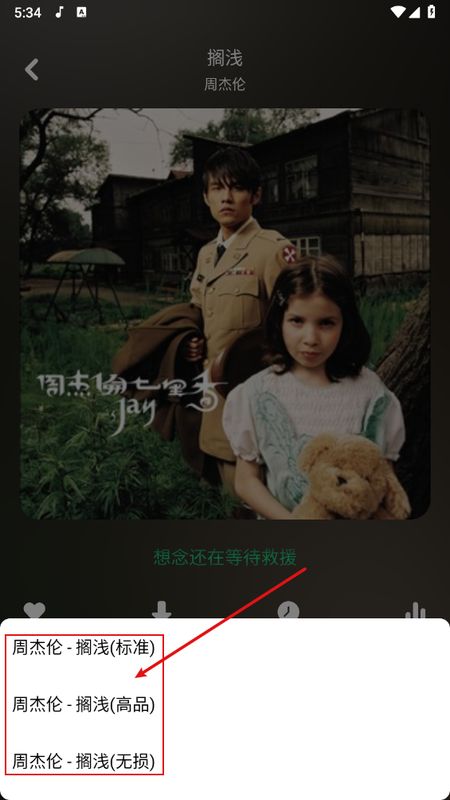 弹出音质选择窗口，包含标准、高品质、无损三种选项