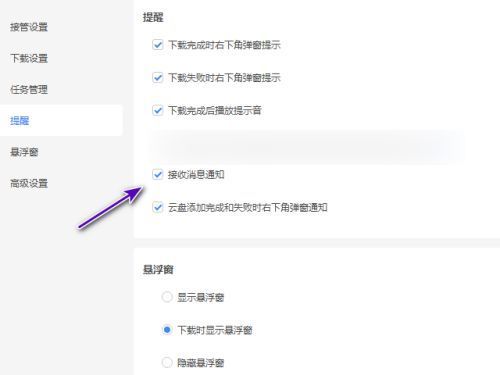 迅雷11提醒设置页面中接受消息通知选项被取消勾选