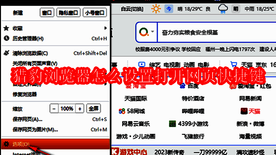 猎豹浏览器主界面展示，界面简洁清晰，突出浏览器操作区域