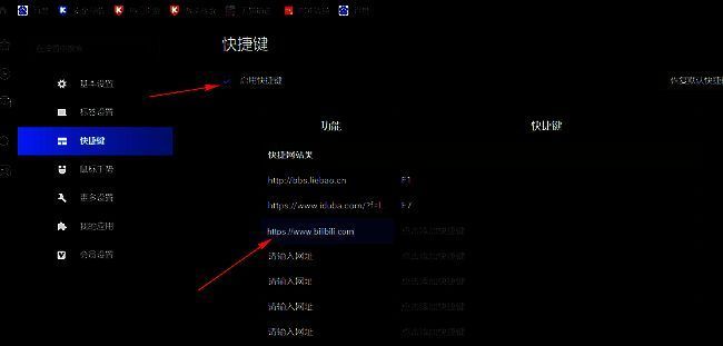 启用快捷键选项被勾选，功能栏填写网址示例