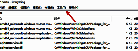 Everything软件界面顶部菜单栏展示，鼠标指向‘工具’选项，界面清晰简洁