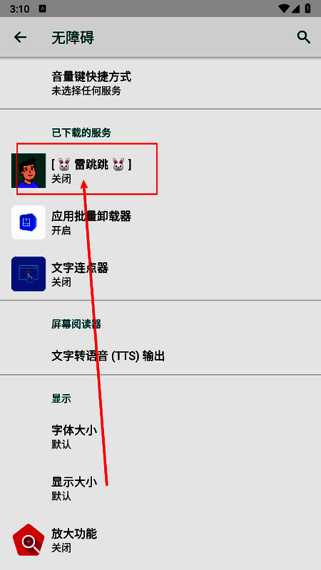 雷跳跳无障碍服务说明页面，包含使用条款和启用开关，界面简洁明了
