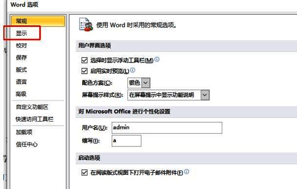 Word选项窗口左侧导航栏高亮‘显示’选项