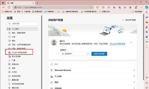 网站权限设置中“通知”选项的详细页面入口