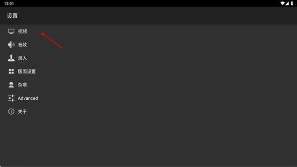 gba模拟器视频设置内屏幕方向选项界面，清晰展示可选的方向模式