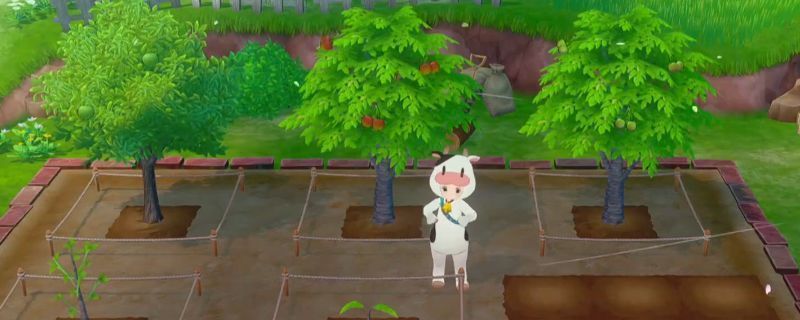 《牧场物语 来吧！风之繁华集市》中玩家在农场种植果树的场景，树苗整齐排列，周围有浇水工具和成熟的果实