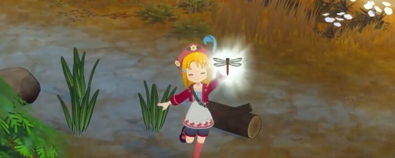 《牧场物语 来吧！风之繁华集市》中玩家在夏夜树林间捕捉昆虫的画面，背景有微光闪烁，充满田园氛围