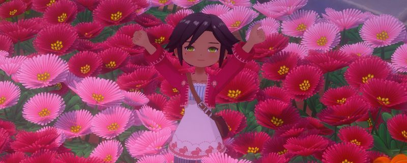 《牧场物语 来吧！风之繁华集市》中多种色彩缤纷的花朵整齐排列，展示春季三色花、夏季向日葵与秋季铁线莲等不同季节花卉