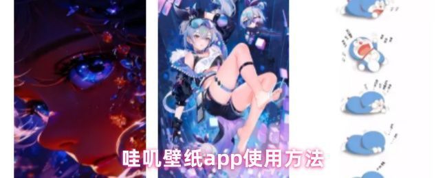 哇叽壁纸App主界面展示，页面布局清晰，包含动态与静态壁纸分类入口