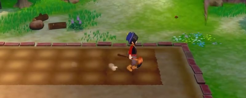 《牧场物语 来吧！风之繁华集市》中各类宝石排列展示，包括粉钻、紫水晶、红宝石等，色彩斑斓，晶莹剔透