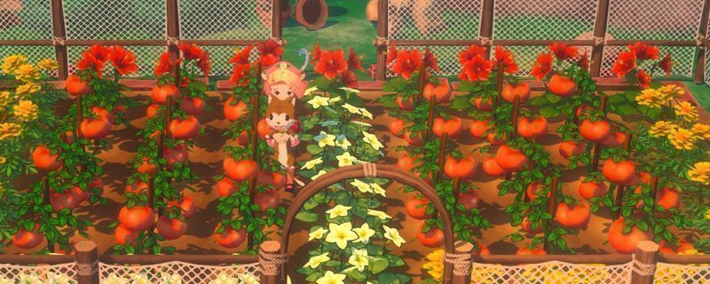 《牧场物语 来吧！风之繁华集市》中春季作物芜菁特写，白白圆圆的根茎露出土壤，周围绿叶茂盛，画面清新自然