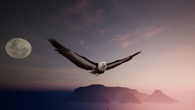 多位游戏角色并肩行走于竹林之间，夕阳洒下光影，展现江湖群像的诗意画面