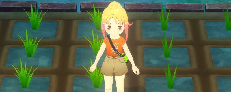 《牧场物语 来吧！风之繁华集市》中玩家在农田中收获作物的场景，土地整齐划分，作物生长茂盛