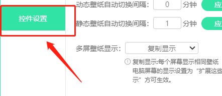 飞火动态壁纸设置窗口左侧控件设置选项被选中，右侧显示对应配置内容
