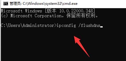 命令提示符中执行ipconfig /flushdns命令清除DNS缓存的画面