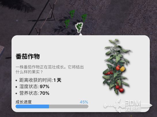 作物成长进度条已满，植物呈现出成熟状态，等待采摘