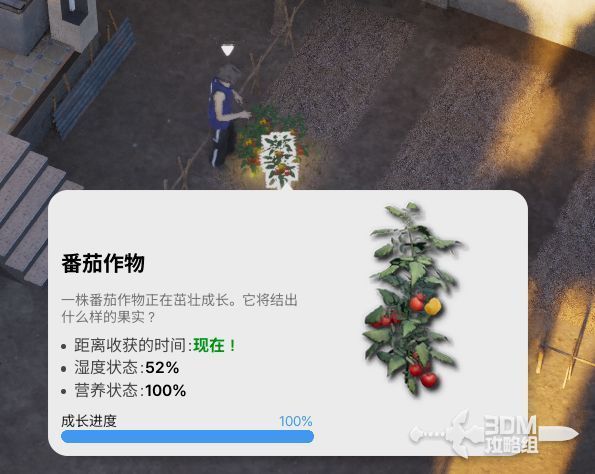 玩家正在采摘成熟的蔬菜，动作流畅自然